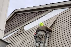 Best Vinyl Siding Installation  in Rio Rancho Estates, NM